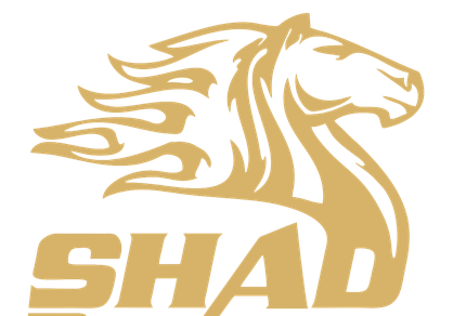 SHAD Performance